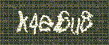 CAPTCHA_picture