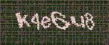 CAPTCHA_picture