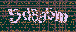 CAPTCHA_picture