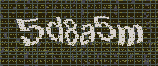 CAPTCHA_picture